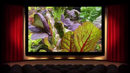 Gardening Australia S29E26