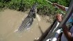 Ils nourrissent un crocodile monstrueux en Floride
