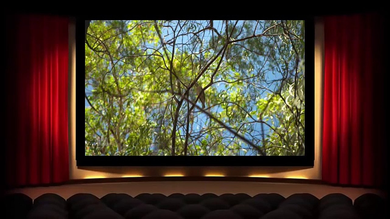 Gardening Australia S29E27