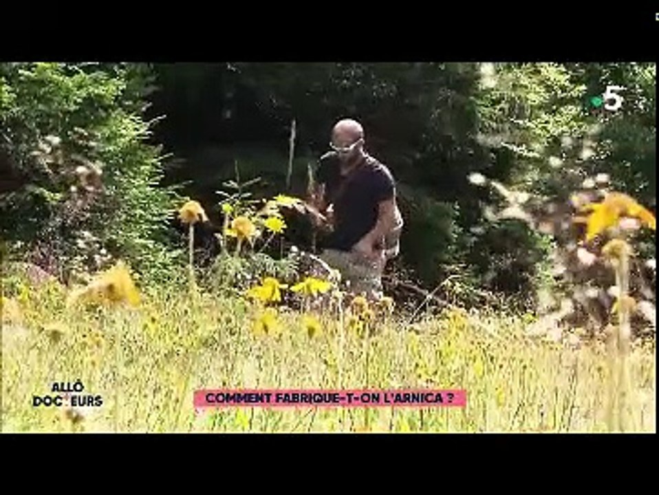 Plantes anti inflammatoires