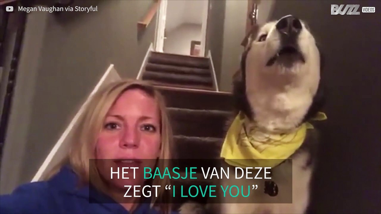 Vrouw leert Husky 'I love you' zeggen