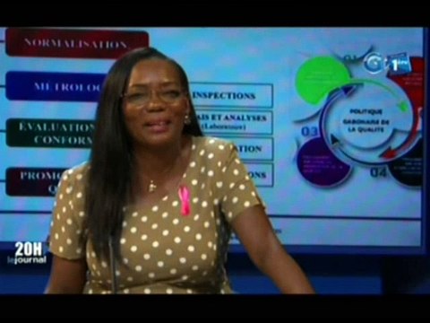 RTG/Echange entre la délégation de la direction général de l’AGANOR et le deuxième vice président du conseil économique , social et environnemental