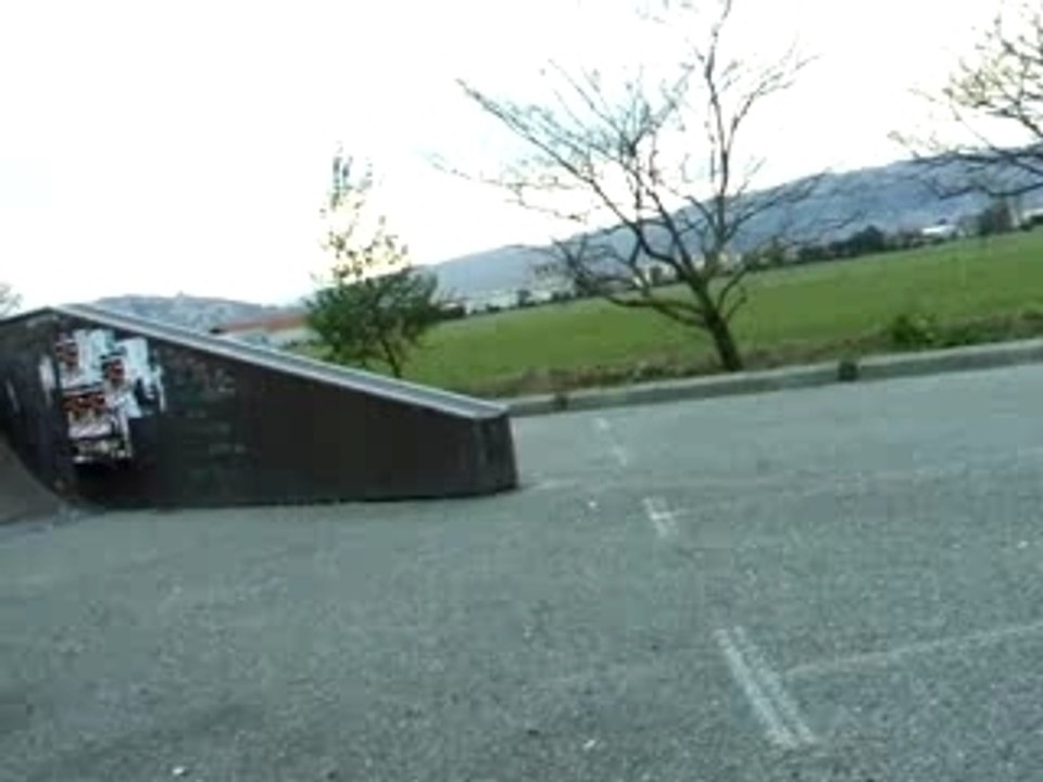 DSCF3980