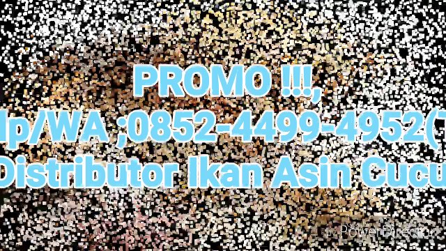 TERMURAH !!!, 0852-4499-4952(TSEL), Ikan Asin Cucut