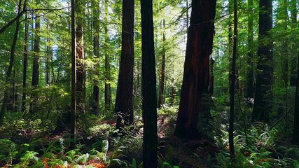 Mister Tachyon S01E07