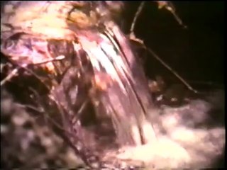 What Causes Acid Rain?