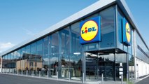 #66 Lidl Supermarket Logo Plays With Plastic Bag Parody