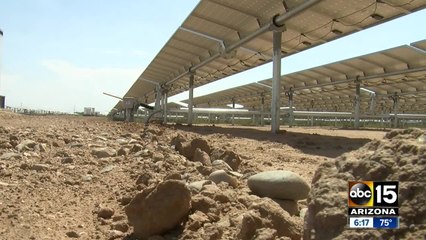 Arizona election: What is Prop 127?