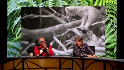 QI S16E01 Panimals