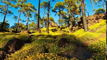 Ağlatan Karadeniz Şarkıları  2017