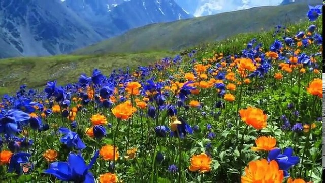 Yürek Yakan Dertli Türküler (Ben O Yare Sevmeyi Ögretemedim) Uzun Hava