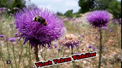 Yürek Yakan Türküler - 2017 ( Hüzünlü)