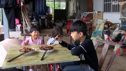 Fazendeiros chineses produzem toneladas de gafanhotos para a gastronomia!