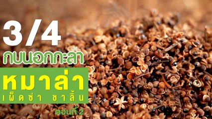 กบนอกกะลา : หมาล่า เผ็ดซ่า ชาลิ้น (2) ช่วงที่ 3/4 (30 ส.ค.61)