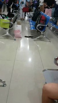 Un serpent terrorise des touristes dans un aéroport