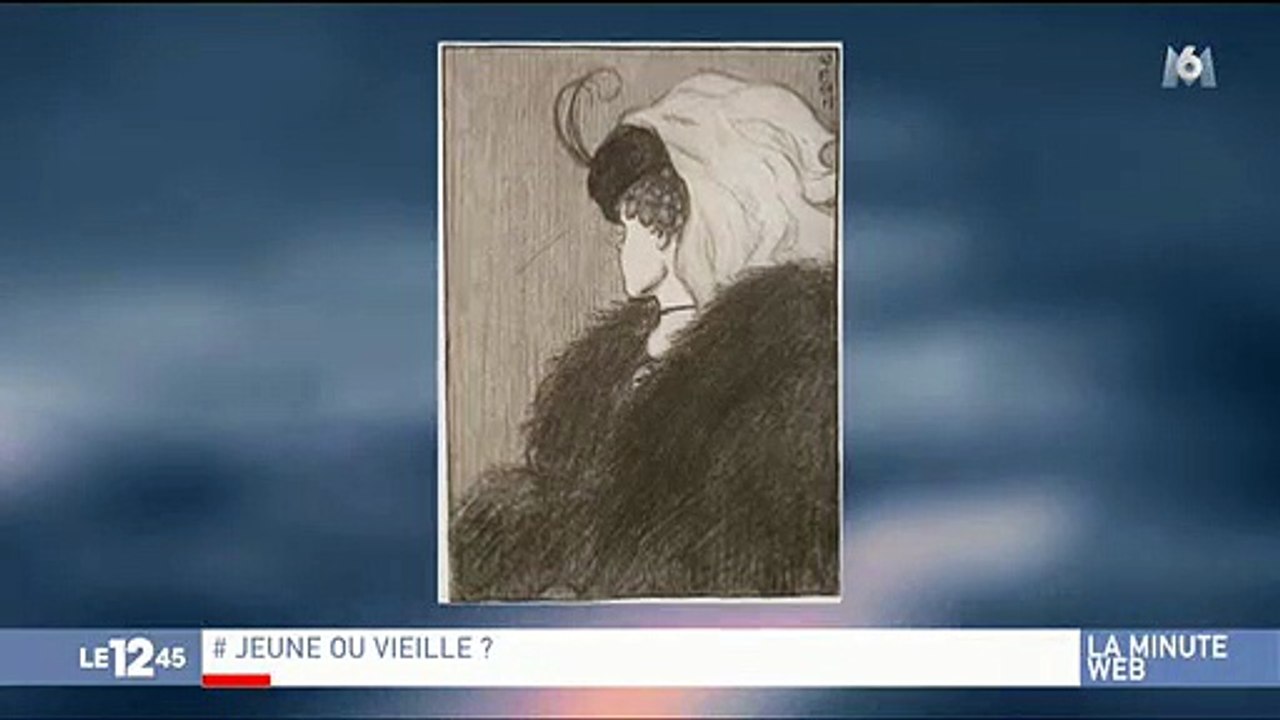 Regardez la nouvelle illusion d'optique qui affole la toile et qui divise... les générations !