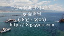 부고화환 장례식장조화 추천 59꽃배달 주문전화 (1833 - 5900)