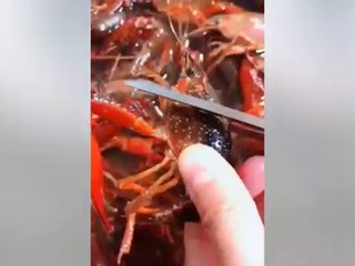 Những Mẹo Vặt 'Thần Thánh' Làm Sạch Tôm Nhanh Gọn, Học Ngay Kẻo Lỡ