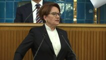 Akşener: 'Milli ve yerli aşurenin her malzemesi ithal' - TBMM