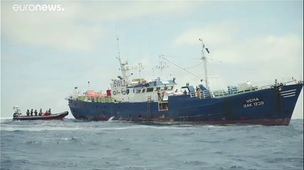 Un thonier pris en flagrant délit de pêche au requin