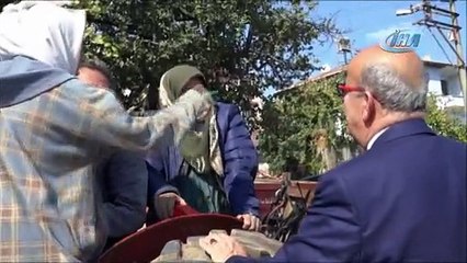 İznik’te üretilen kabaklar yurt dışına ihraç ediliyor