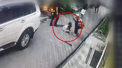 [영상] 총 든 4인조 강도에 맞선 8살 소녀 / YTN