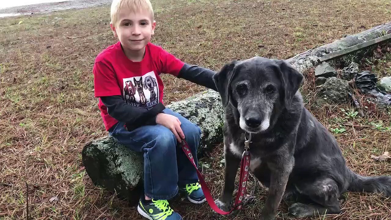 Cet enfant a sauvé plus de 1200 chiens de l'euthanasie grâce à ses vidéos