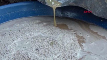 Gaziantep Üzüm Üreticilerinin 'Pekmez' Mesaisi