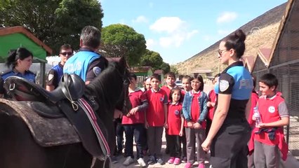 Çocukların İlk Kez At Binme Heyecanı