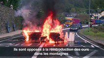 Pyrénées: blocage des routes contre l'arrivée des ours