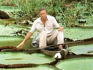 David Attenborough - Élő Bolygó - 08 - Édesviz