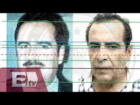 Con estudios científicos se certifica la identidad de El H : PGR / Excélsior Informa