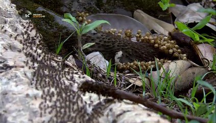 Morgan Freeman A Féreglyukon Át S05e06