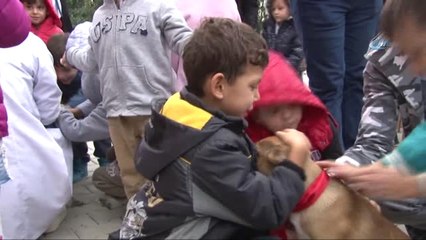 Minik Hayvanseverler, Hayvan Dostlarıyla Buluştu