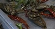 Ils mangent des insectes à Bangkok ! - ZAPPING CUISINE DU 02/10/2018