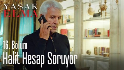 Halit hesap soruyor - Yasak Elma 16. Bölüm
