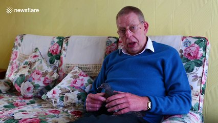 UK man rescues feral pigeon and nurses it back to health