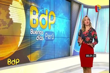 Francia: un descontrolado caballo ingresa en una cafetería y desata el pánico en clientes