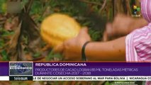 Cacao genera ingresos en divisas por 210 mdd a República Dominicana