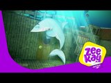 Mr Sharky | Zack and Quack | ZeeKay Junior
