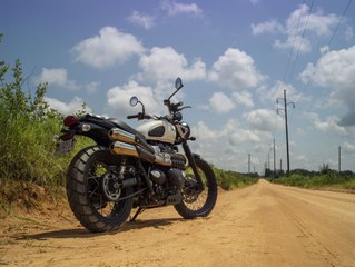 VÍDEO: nueva Triumph Street Scrambler 2019