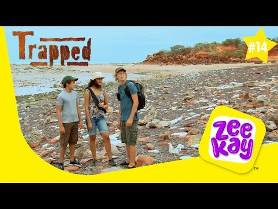 If you go down into the woods today… | Trapped | ZeeKay