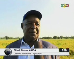 ORTM/Mission de supervision des activités végétales de la campagne agricole 2018-2019 à koulikoro
