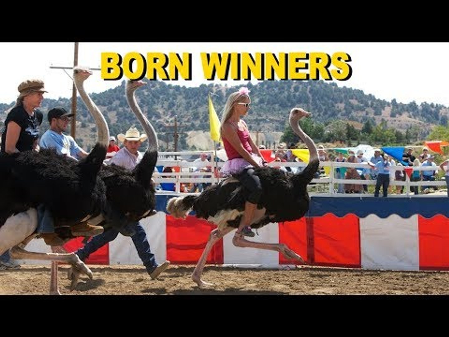 Born Winners - Tristan & the Ostriches | ZeeKay