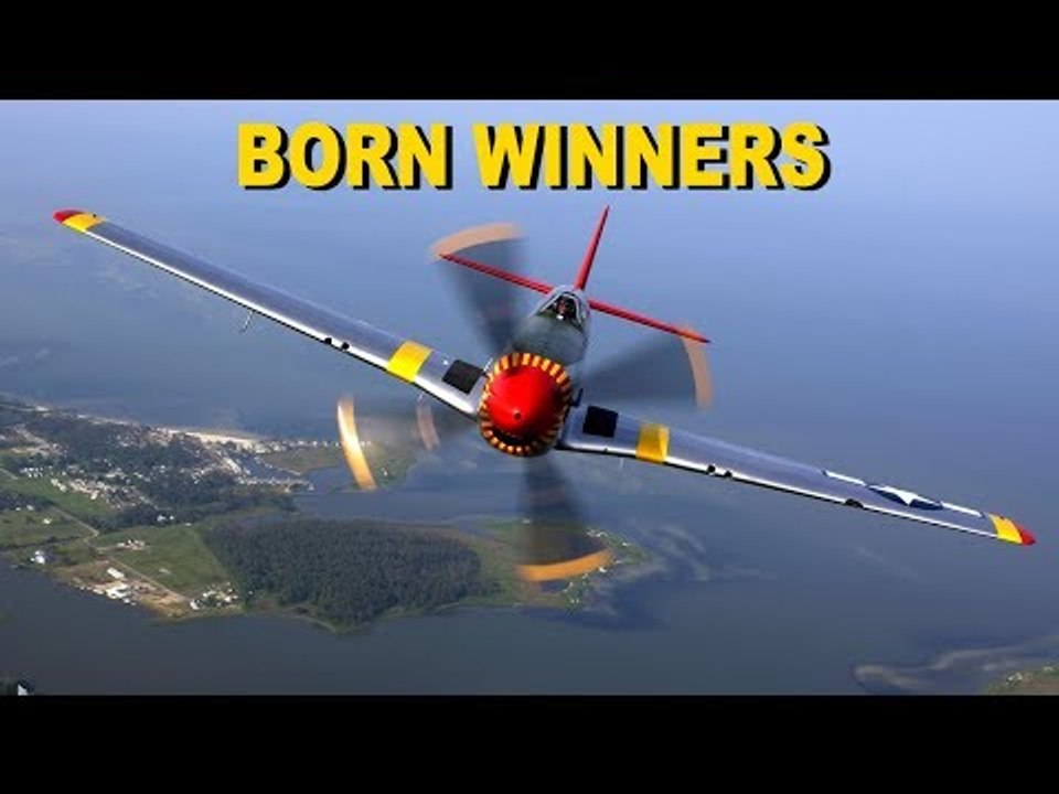 Born Winners - Sebastian & the Planes | ZeeKay