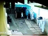 Un voleur atterrit dans une cour face à des chiens de garde