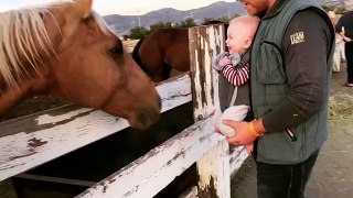 Baby Can't Stop Giggling At A Friendly Horse_1