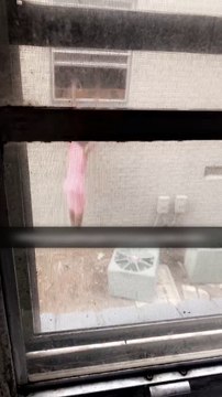 Woman Sneaks Out Through Window