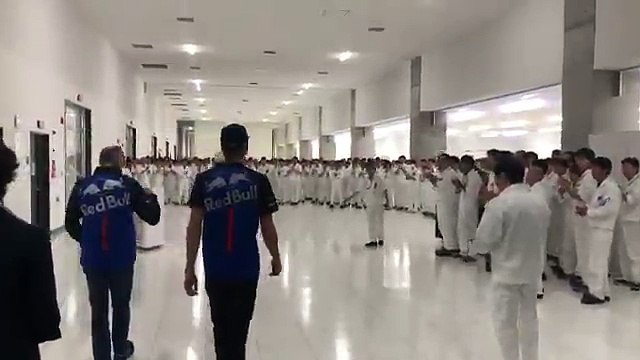 Honda ovaciona a Toro Rosso en Japón