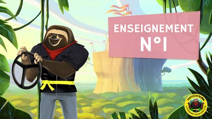 Professeur Slow - Enseignement n°1